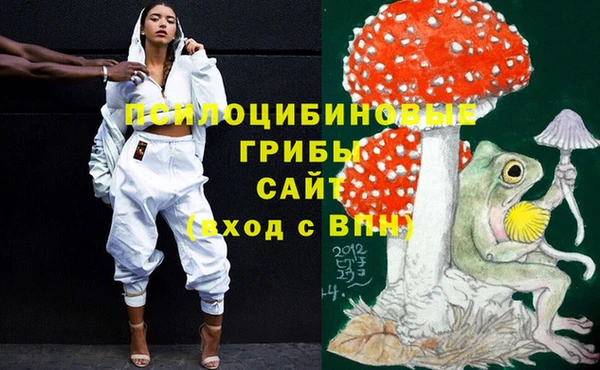 MESCALINE Вяземский