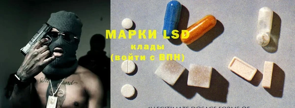 крисы Сатка