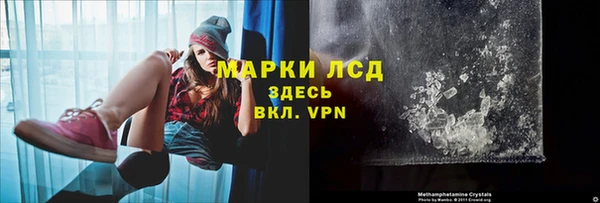 хмурый Анива