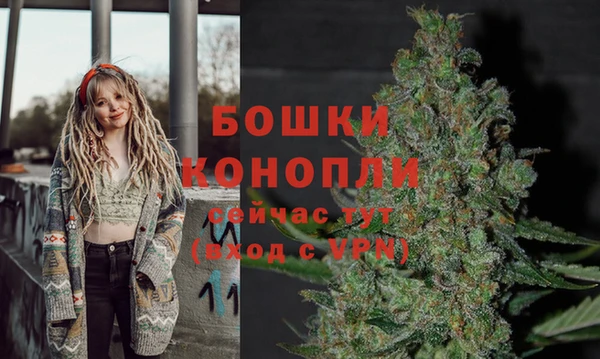 MESCALINE Вяземский