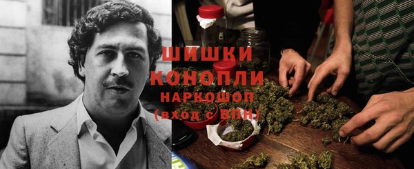 крисы Сатка