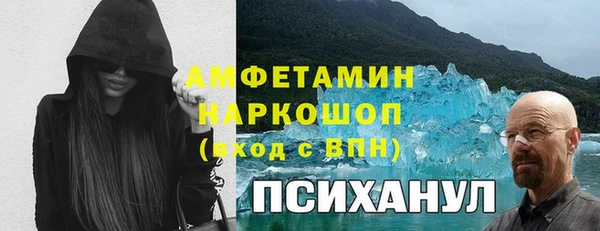 крисы Сатка