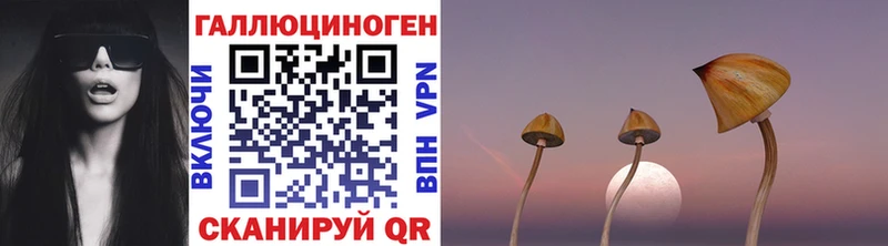 Галлюциногенные грибы Psilocybine cubensis  omg   Красновишерск 